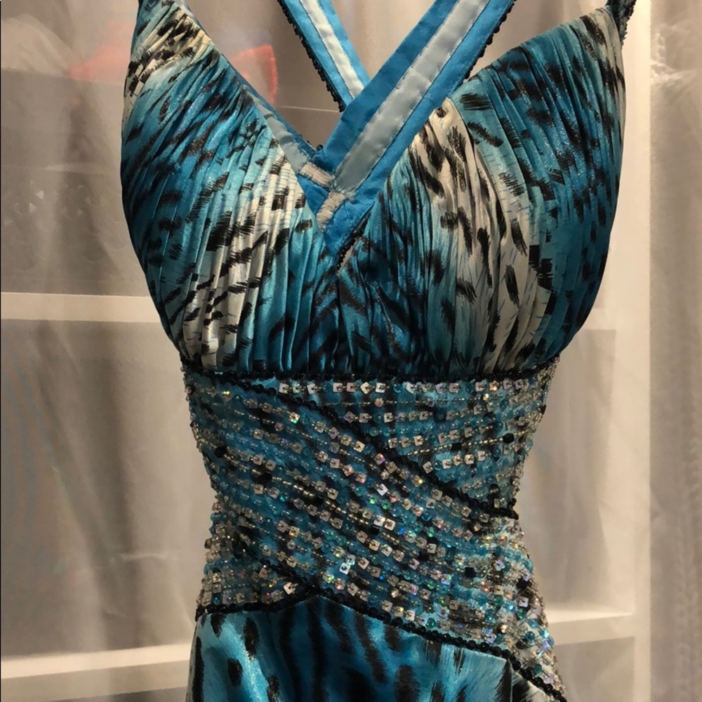 Never been worn prom dress (tag not on dress)
